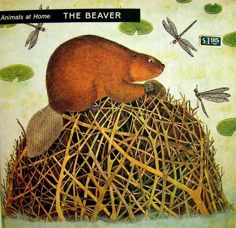 Image for Hippie Beavers