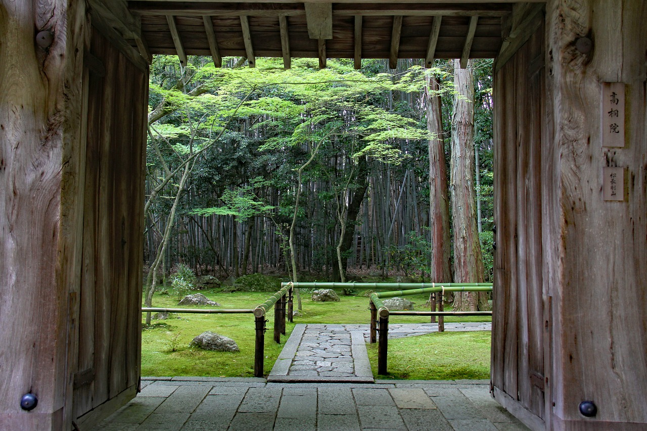 Image for Kyoto Moss
