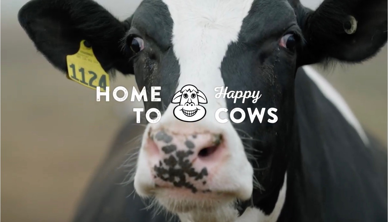 Image for Happy Cow
