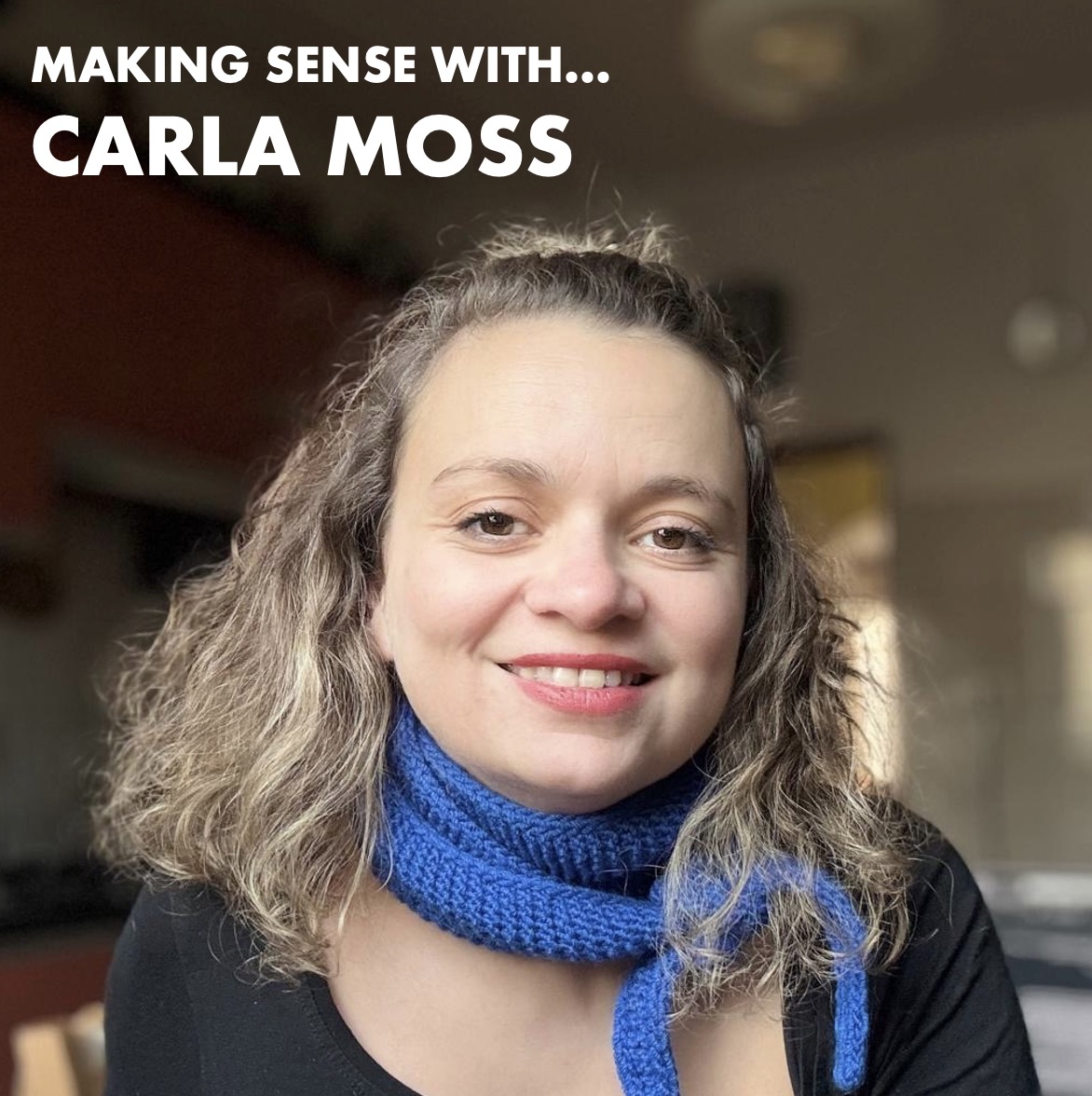 Image for Making Sense