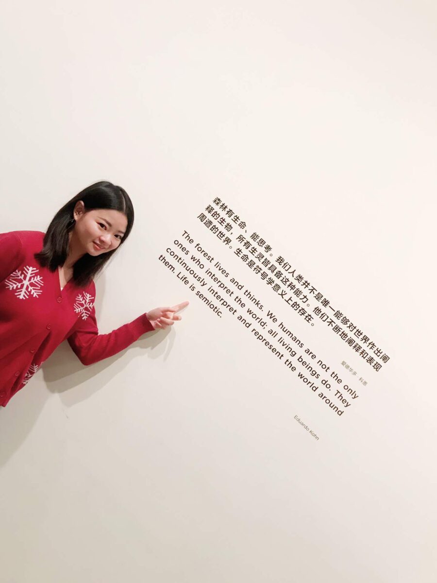 Image for Media Diet