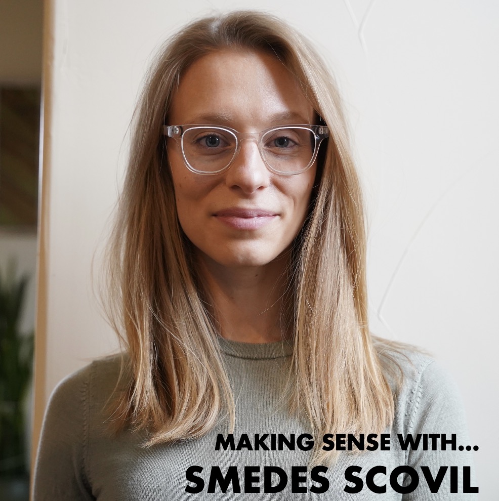 Image for Making Sense