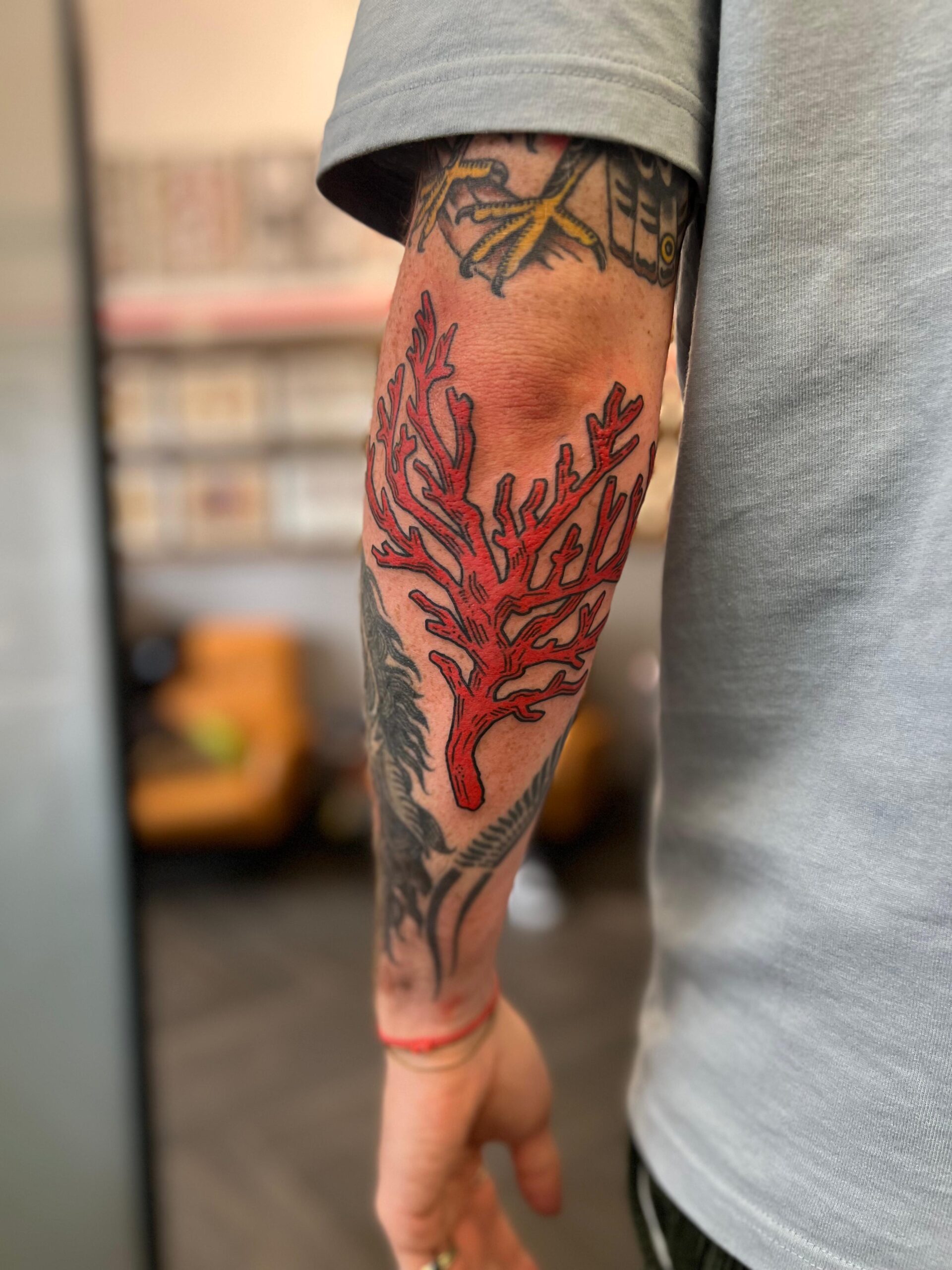 Image for Coral of Life