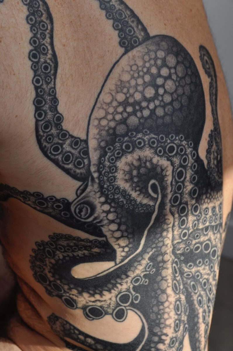 Image for Polymorphous