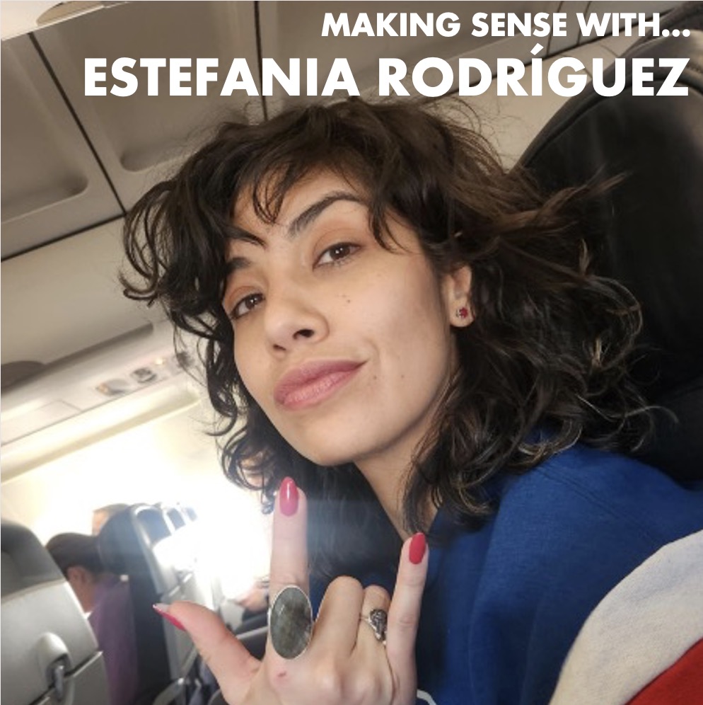 Image for Making Sense