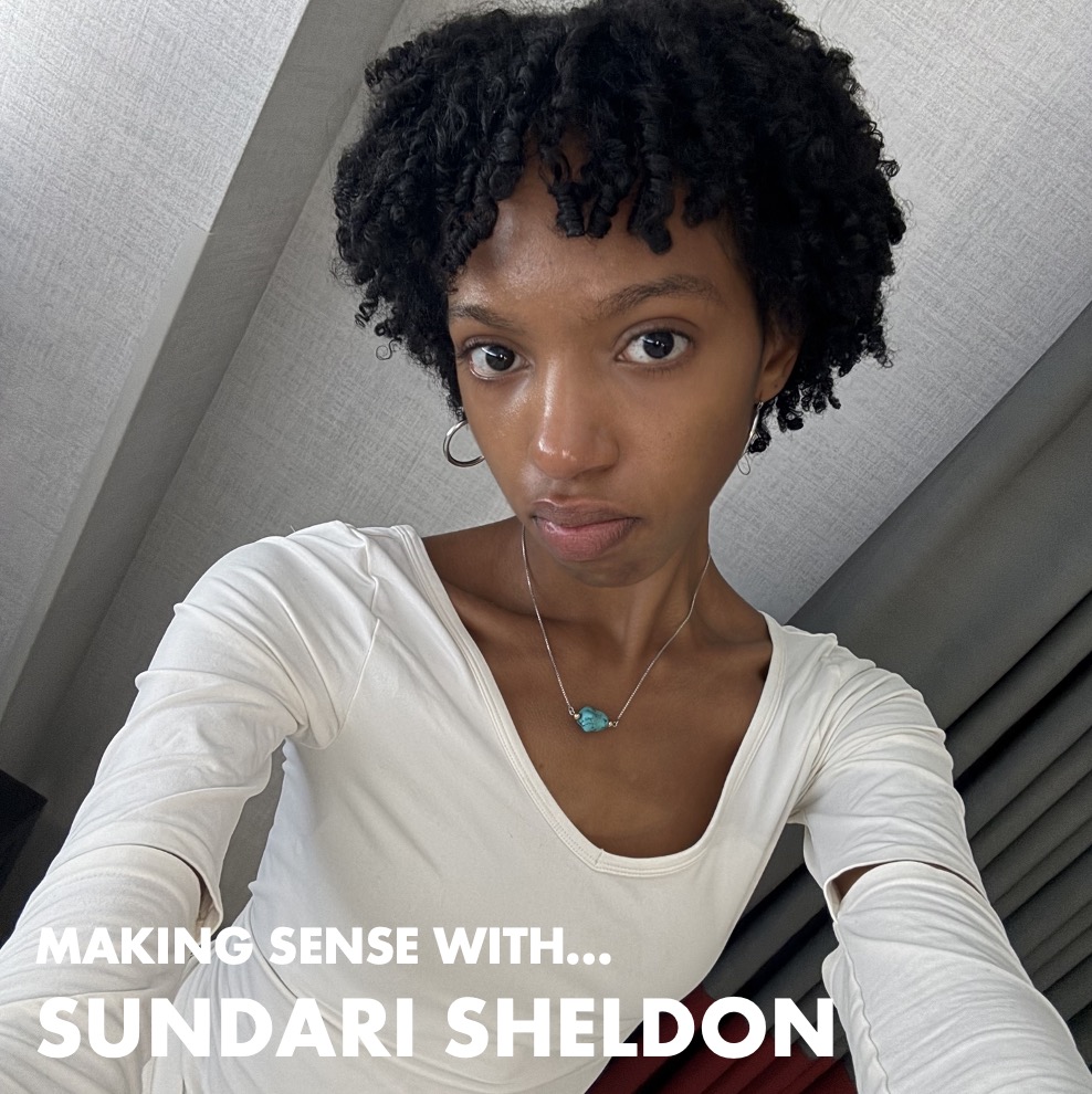 Image for Making Sense