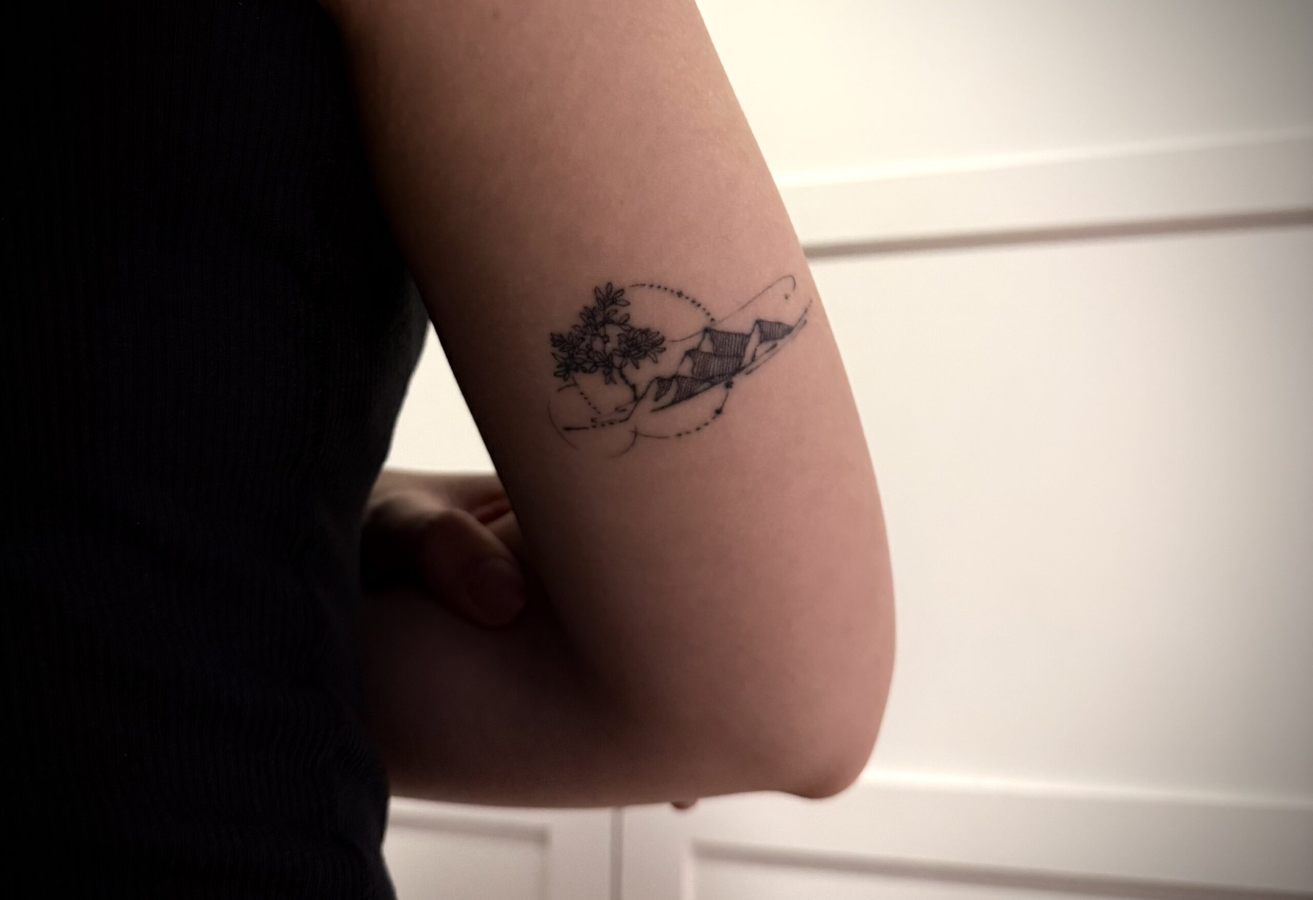 Image for An Island, a Tree