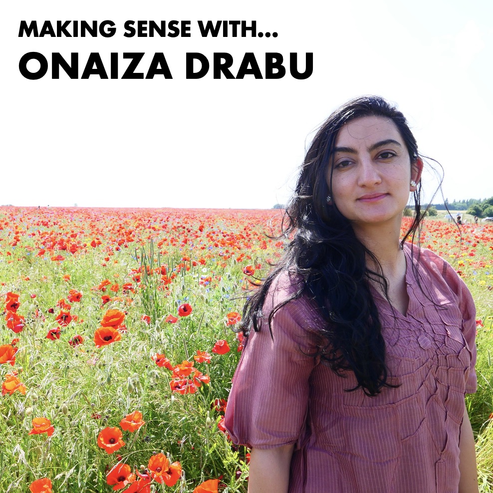 Image for Making Sense