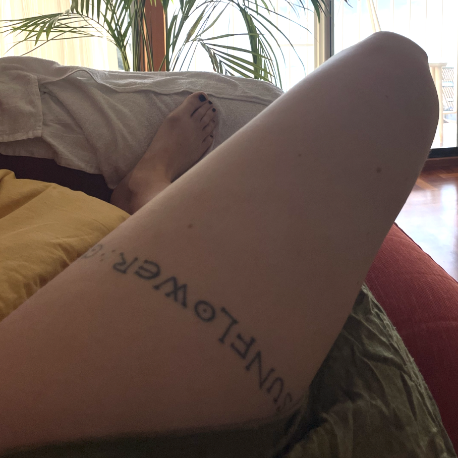 Image for Sunflower Gunmetal