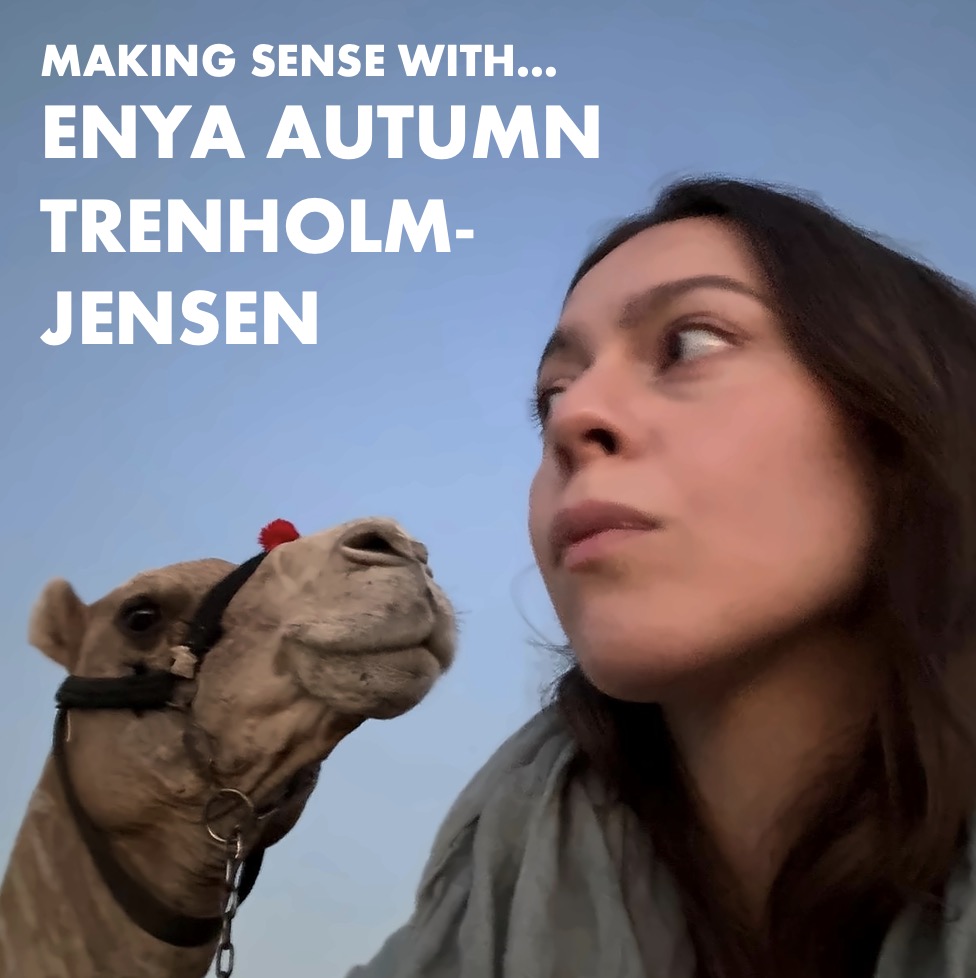 Image for Making Sense